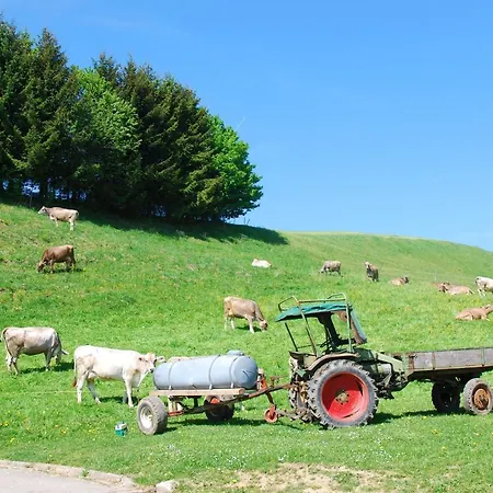 Appartamento Einodhof Scholl Ferien Und Wellnesshof Im Allgau *